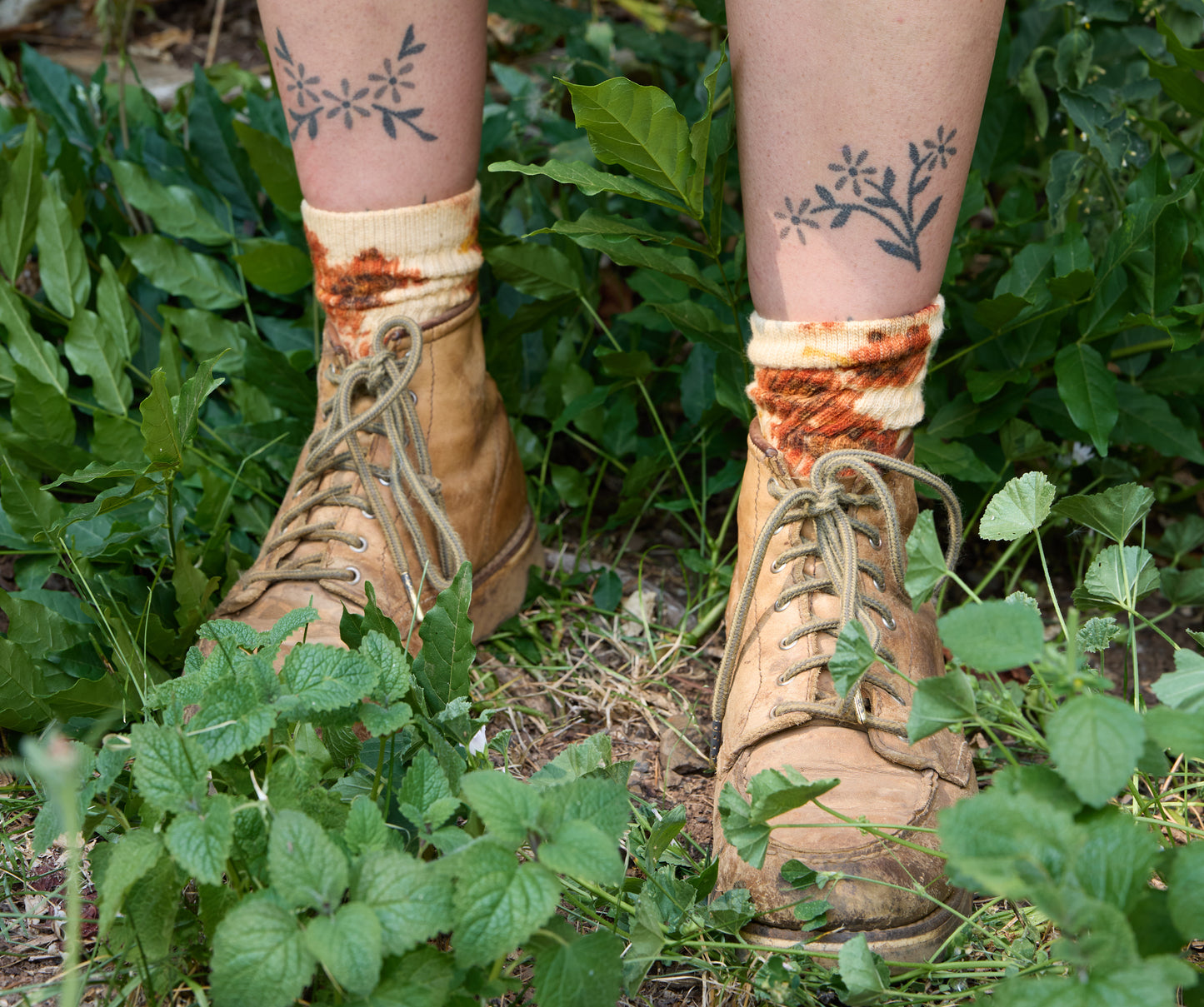 Coreopsis dyed socks