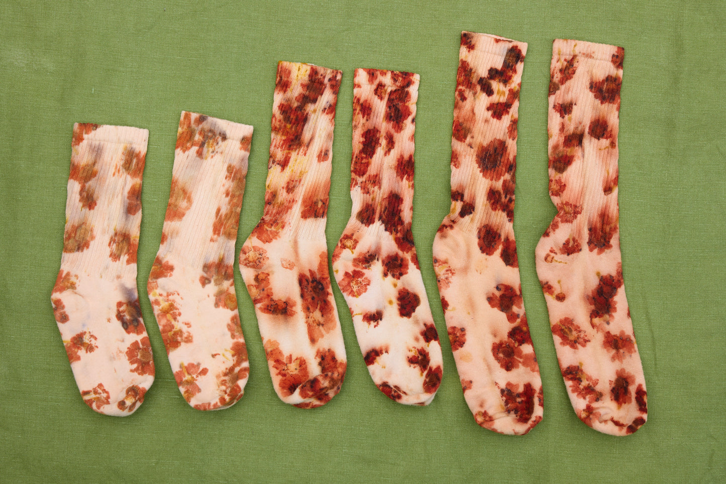 Coreopsis dyed socks